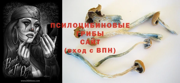 гашик Абаза