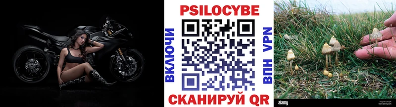 наркотики  Новоульяновск  Псилоцибиновые грибы Magic Shrooms 