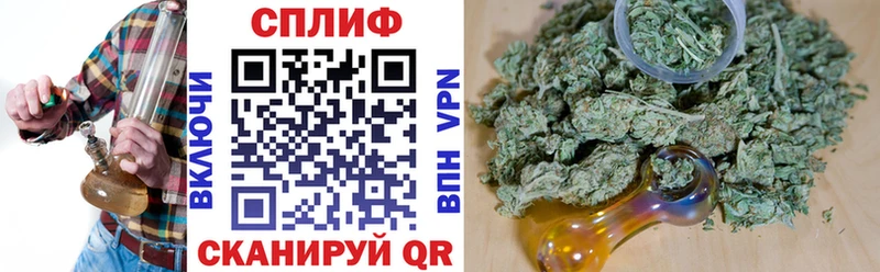 ссылка на мегу ссылка  Новоульяновск  Каннабис сатива  где найти  